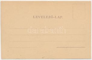 Gyulafehérvár, Karlsburg, Alba Iulia; Bethlen Gábor utca. Atelier Bach / street view (apró szakadáso...