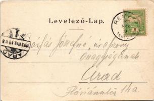 1903 Temesvár, Timisoara; Kossuth Lajos utca, Bruder Kohn üzlete. Káldor Zs. és Társa kiadása / stre...