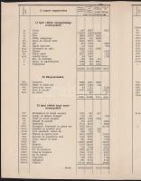 1904 Magyarország és Ausztria egymásközti kereskedelmi forgalmának 1904. évi kimutatása gazdasági ág...