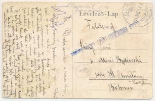 1914 Lovrin, Baron Liptay-Kastel / kastély / castle, mansion + "Lovrini Vöröskereszt-Egylet kis...