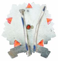 1960 k. "Határőrség - Járőrparancsnok" ezüstözött, részben műanyag, tűzzománcos bronz szol...