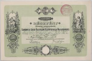 1924. Magyarbánhegyes "A Csanádvármegyei Szövetkezeti Áruforgalmi Részvénytársaság" névre szóló részvénye 500K-ról, felülbélyegzéssel T:AU