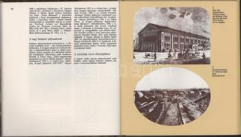 Kubinszky Mihály: Régi magyar vasútállomások. Építészeti hagyományok. Bp., 1983, Corvina. Gazdag fek...