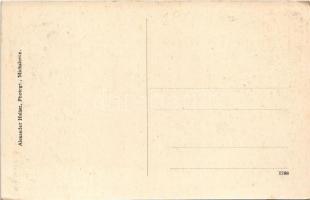 Nagymihály, Michalovce; Zempléni Népbank, Kereskedelmi és Iparbank, Állami reálgimnázium, vasútállom...