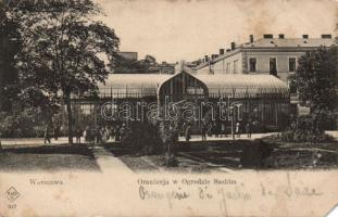 Warsaw Orange Garden (EM)