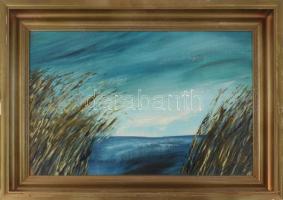 Égerházi László (1965-): Vihar előtt. Olaj, farost. Jelzett. Dekoratív, sérült fakeretben. 40x60 cm