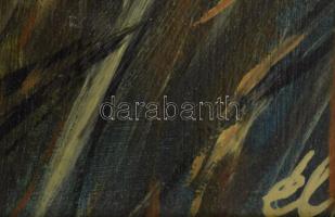Égerházi László (1965-): Vihar előtt. Olaj, farost. Jelzett. Dekoratív, sérült fakeretben. 40x60 cm