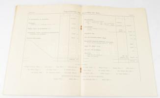 1911 Bp., Sopron-Pozsonyi Helyi Érdekű Vasút Részvénytársaság XIV. évi jelentése az 1910-iki üzleti ...