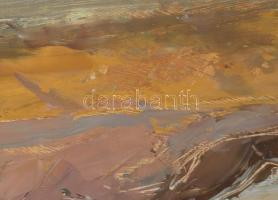 Szikra János (1921-2009): Csendélet halakkal, 1980 körül. Olaj, farost, jelezve balra lent, fakeretb...