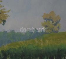 Mátrai Vilmos (1877-1961): Környe, 1957 Akvarell, papír, jelzett. Dekoratív, üvegezett, laza fakeret...