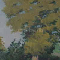 Mátrai Vilmos (1877-1961): Környe, 1957 Akvarell, papír, jelzett. Dekoratív, üvegezett, laza fakeret...