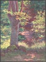 Mátrai Vilmos (1877-1961): Napos erdőrészlet. Akvarell, papír, jelzett. 32×24 cm