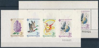 1964 Bélyegnap Monográfia blokkpár vastag és vékony sorszámmal (12.000)