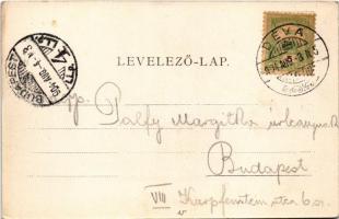 1904 Déva, Deva; Megyeház, Hirsch Adolf kiadása / county hall (EK)