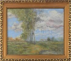 Sztelek Norbert (1884-1956): Nagybánya környéki táj, 1941. Pasztell, papír, jelzett, üvegezett fakeretben, 40x50 cm/ Norbert Sztelek (1884-1956): Landscape around Baia Mare, 1942. Pastell on paper, signed, framed.