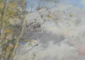 Sztelek Norbert (1884-1956): Nagybánya környéki táj, 1941. Pasztell, papír, jelzett, üvegezett faker...