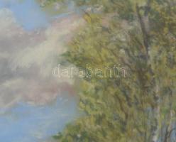 Sztelek Norbert (1884-1956): Nagybánya környéki táj, 1941. Pasztell, papír, jelzett, üvegezett faker...