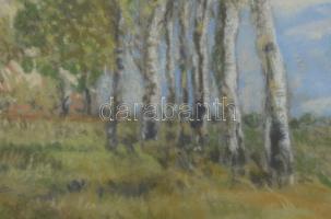 Sztelek Norbert (1884-1956): Nagybánya környéki táj, 1941. Pasztell, papír, jelzett, üvegezett faker...