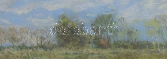 Sztelek Norbert (1884-1956): Nagybánya környéki táj, 1941. Pasztell, papír, jelzett, üvegezett faker...