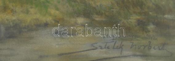 Sztelek Norbert (1884-1956): Nagybánya környéki táj, 1941. Pasztell, papír, jelzett, üvegezett faker...