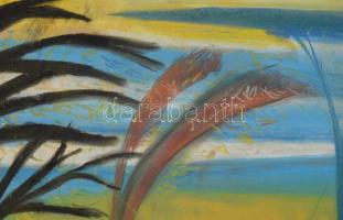 Sassy jelzéssel: Táj. Pasztell, papír, fakeretben, 41,5×58 cm