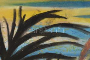 Sassy jelzéssel: Táj. Pasztell, papír, fakeretben, 41,5×58 cm