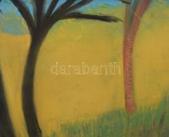 Sassy jelzéssel: Táj. Pasztell, papír, fakeretben, 41,5×58 cm