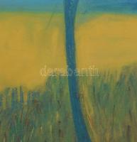 Sassy jelzéssel: Táj. Pasztell, papír, fakeretben, 41,5×58 cm