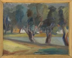 Emőd v. Emöd jelzéssel: Táj Olaj, vászon. Kopott fakeretben. 55x70 cm