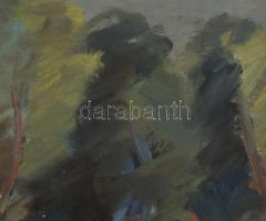 Emőd v. Emöd jelzéssel: Táj Olaj, vászon. Kopott fakeretben. 55x70 cm