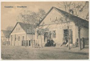 Csanálos, Cenalos, Urziceni; Utcarészlet, kocsma / street, pub (EK)