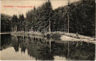 1911 Pozsony, Pressburg, Bratislava; Vaskutacska, felső tó / Eisenbrünnel (Eisenbründl) / Zelezná Studienka / spa, lake (EK)