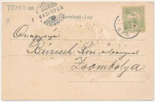 Varjas, Varias; Fő utca, római katolikus templom. Eisner Gyula kiadása / Roman Catholic church, main...