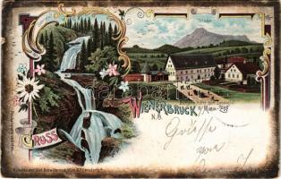 1901 Wienerbruck bei Mariazell, Burgers Hotel zum Lassingfall / waterfall, hotel. Kunstanstalt Karl Schwidernoch Art Nouveau, floral, litho (small tear)