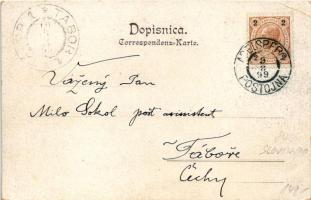 1899 Postojna, Postumia, Adelsberg; Kalvarija / general view, calvary. Art Nouveau, floral (EK)