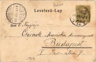 1904 Kalotaszeg, Tara Calatei; Kalotaszegi leány, erdélyi népviselet. 326. / Bauermädchen aus Kalota...