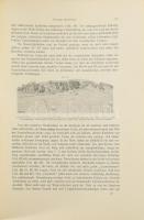 Zieler, Karl: Lehrbuch und Atlas der Haut- und Geschlechtskrankheiten für praktische Ärzte und Studi...