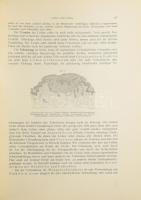 Zieler, Karl: Lehrbuch und Atlas der Haut- und Geschlechtskrankheiten für praktische Ärzte und Studi...