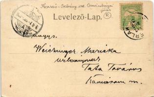 1902 Stájerlak, Steierlak, Stájerlakanina, Steierdorf, Anina; II. és III. telep, látkép. Hollschütz ...