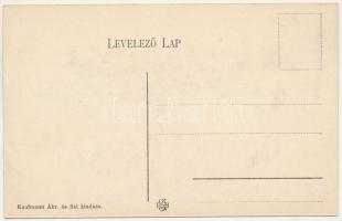 Rónaszék, Rohnen, Costiui; M. kir. sóbánya hivatal. Kaufmann Ábr. és fiai kiadása / salt mine office