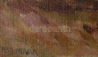 Aba-Novák jelzéssel: Szekér. Olaj, vászon. Dekoratív fakeretben. 45x55,5 cm