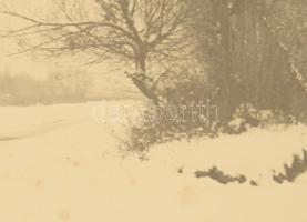 cca 1925 Dunaharaszti, vízparti részlet a római katolikus templommal, nagyméretű fotó, 24×33 cm