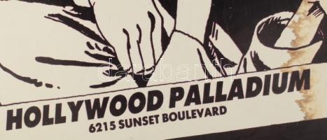 Sonic Youth Live, plakát, papír, feltehetően utánnyomás, farostra kasírozva, foltos, sérült. 84x59,5...