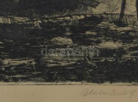 Blahos Rudolf (1917-1986): Vízpart (Halászok). Rézkarc, papír, jelzett, 28,5×38,5 cm. Üvegezett fake...