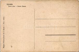 Újvidék, Novi Sad; Duna utca, villamos, üzletek. Szecessziós katonai hazafias keret magyar zászlóval...