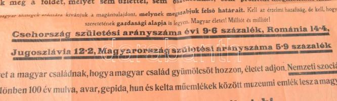 cca 1932 A Nemzeti Szocialista Párt, Meskó Zoltán (1883-1959) nevében kiadott "Magyar Testvérek...