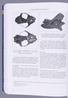 Kovács László: Magyarhomorog-Kónya-domb 10. századi szállási és 11-12. századi falusi temetője. Magy...