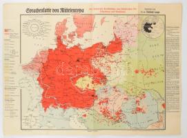 Kleine Sprachenkarte von Mitteleuropa Friedrich Lange ca 1920, Közép Európa nyelvtérképe, 1:4250000, 45x60cm  / Language map of Central Europe
