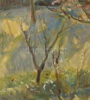 Udvary Pál (1900-1987): Albertfalva tavasszal. Olaj, vászon. Jelezve balra lent. Hátoldalán autográf...