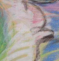 Horváth Éva Mónika (1965-): Színes társaság (cím nélkül). Pasztell, papír. Jelezve jobbra lent. 46x6...